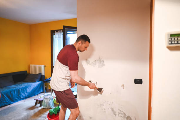 Home Mold Removal in East Harwich, MA